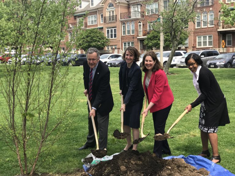 Trees planted in honor of former Mayor Allison Silberberg
