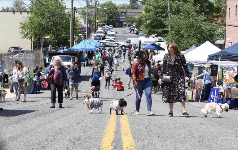 2021 Alexandria Love Your Pet Day Festival hits the city on Sunday